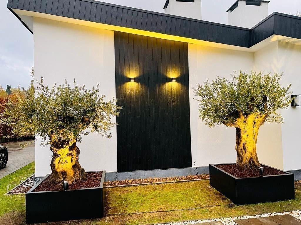MCPlantenbakken/ Miss ID lifestyle 🍀🌻  100x100x40, Tuin en Terras, Bloembakken en Plantenbakken, De Nieuwe Erven 3, 5431 NV Cuijk
