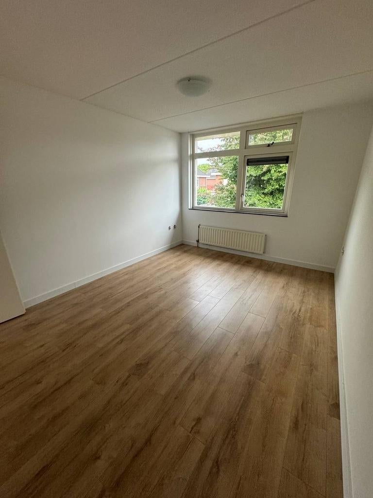 Schilderen,  vloeren , renovatie