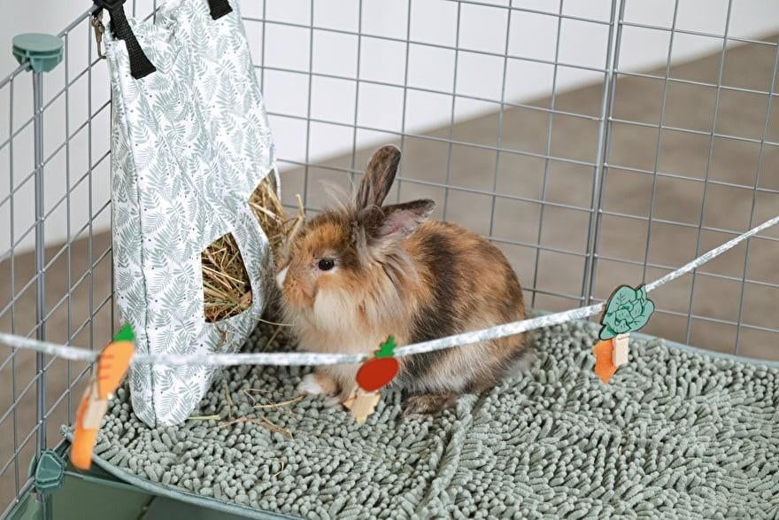 ** Zolux collectie voor cavia's en konijnen NIEUW, Engelberterweg 65 9723EK groningen, Www.Karinasdierenwebshop.nl, Overige typen