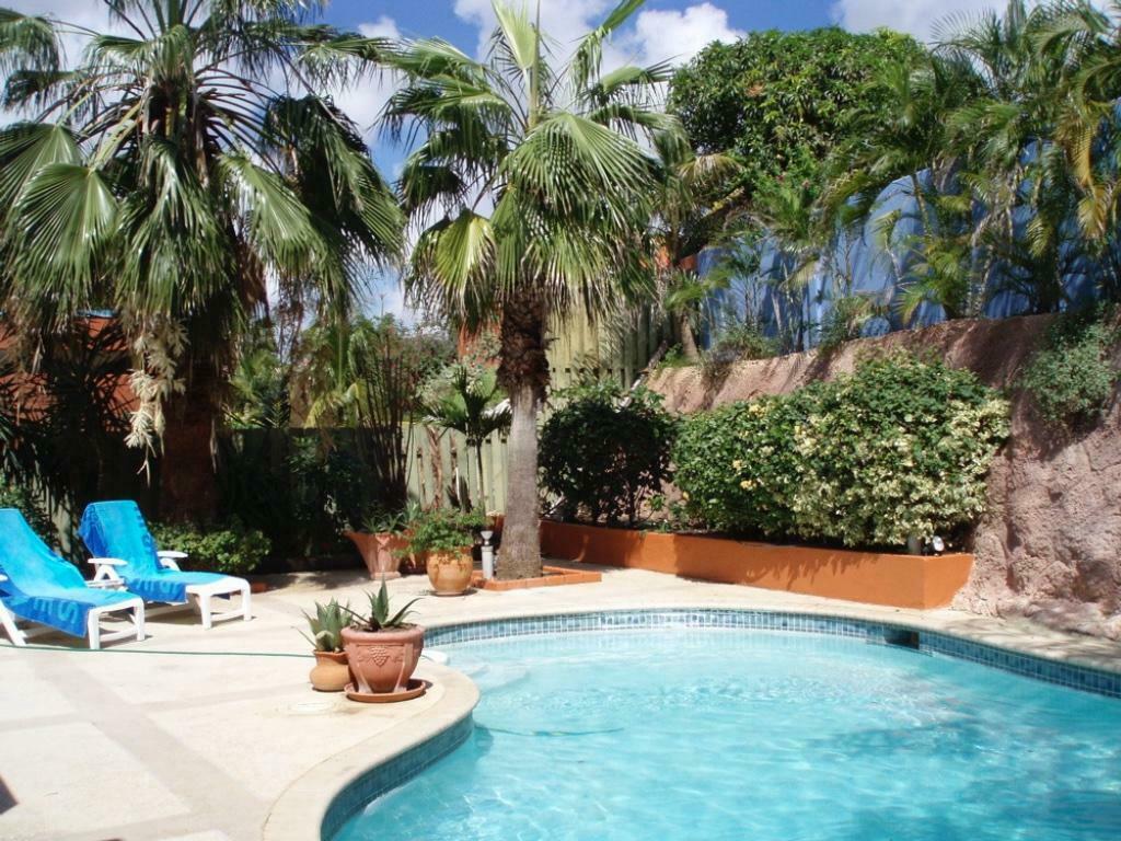 Vakantievilla 2-5 pers met privé zwembad vlakbij Mambo Beach, 5 personen, Wasmachine, Curaçao, Overige