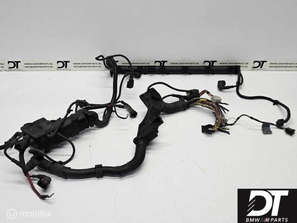 Kabelboom motor BMW E46 M3 S54 S54B32 MSS54 12517831646, Gebruikt, BMW, BMW