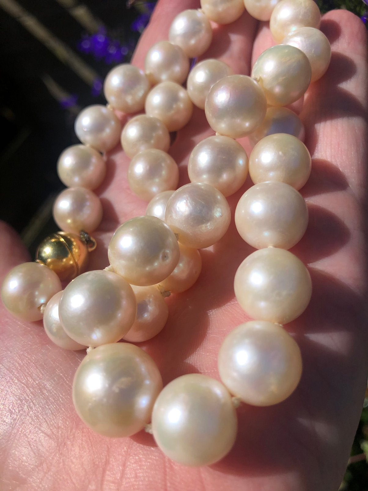 Akoya Parel Ketting Grote 1 CM Wit Goud Slotje, Sieraden, Tassen en Uiterlijk, Kettingen, Ophalen of Verzenden, Gebruikt, Wit