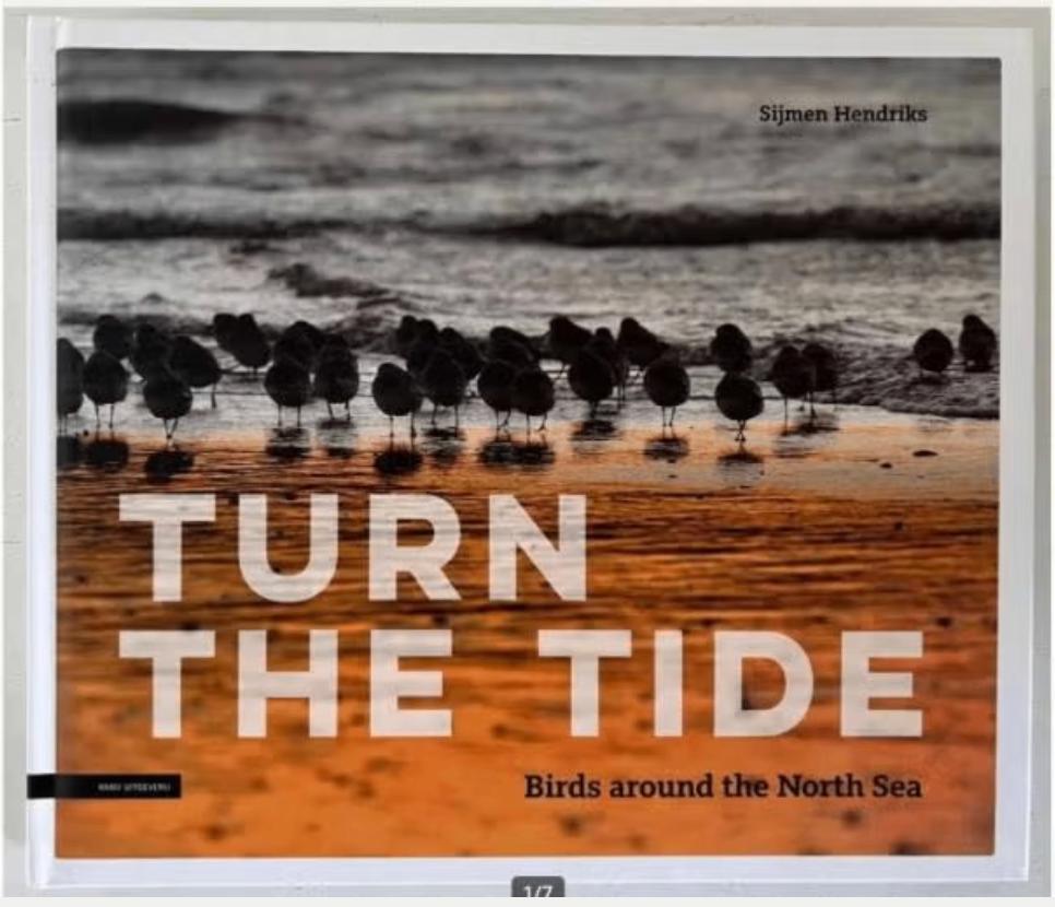 Turn the tide - Vogels rond de Noordzee - S. Hendriks (2019), Ophalen of Verzenden, Zo goed als nieuw, Vogels