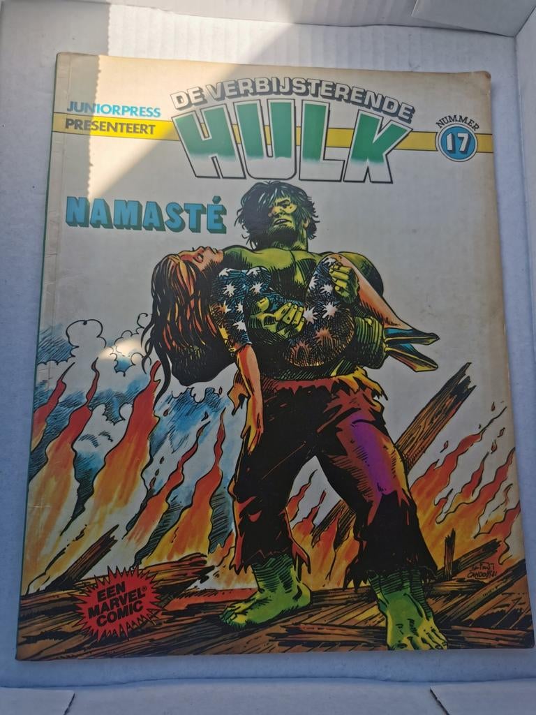 De Verbazingwekkende Hulk - Namasté (Nr. 17), Eén stripboek, Verzenden, Gelezen, Marc De Matteis, Gene Colan, Alfredo Alcala