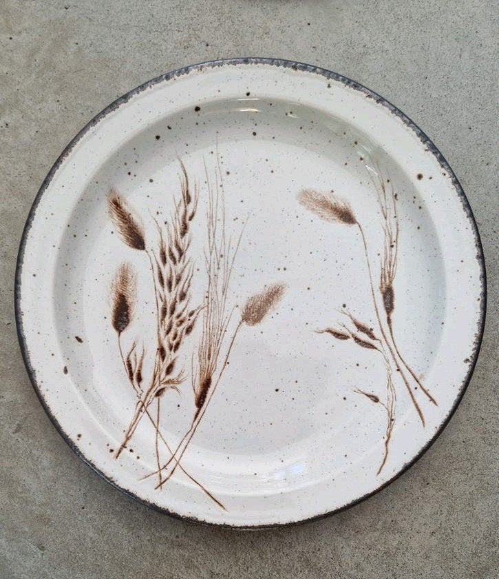 Set van 4 Midwinter Stonehenge Wild Oats dinerborden 26cm, Ophalen of Verzenden