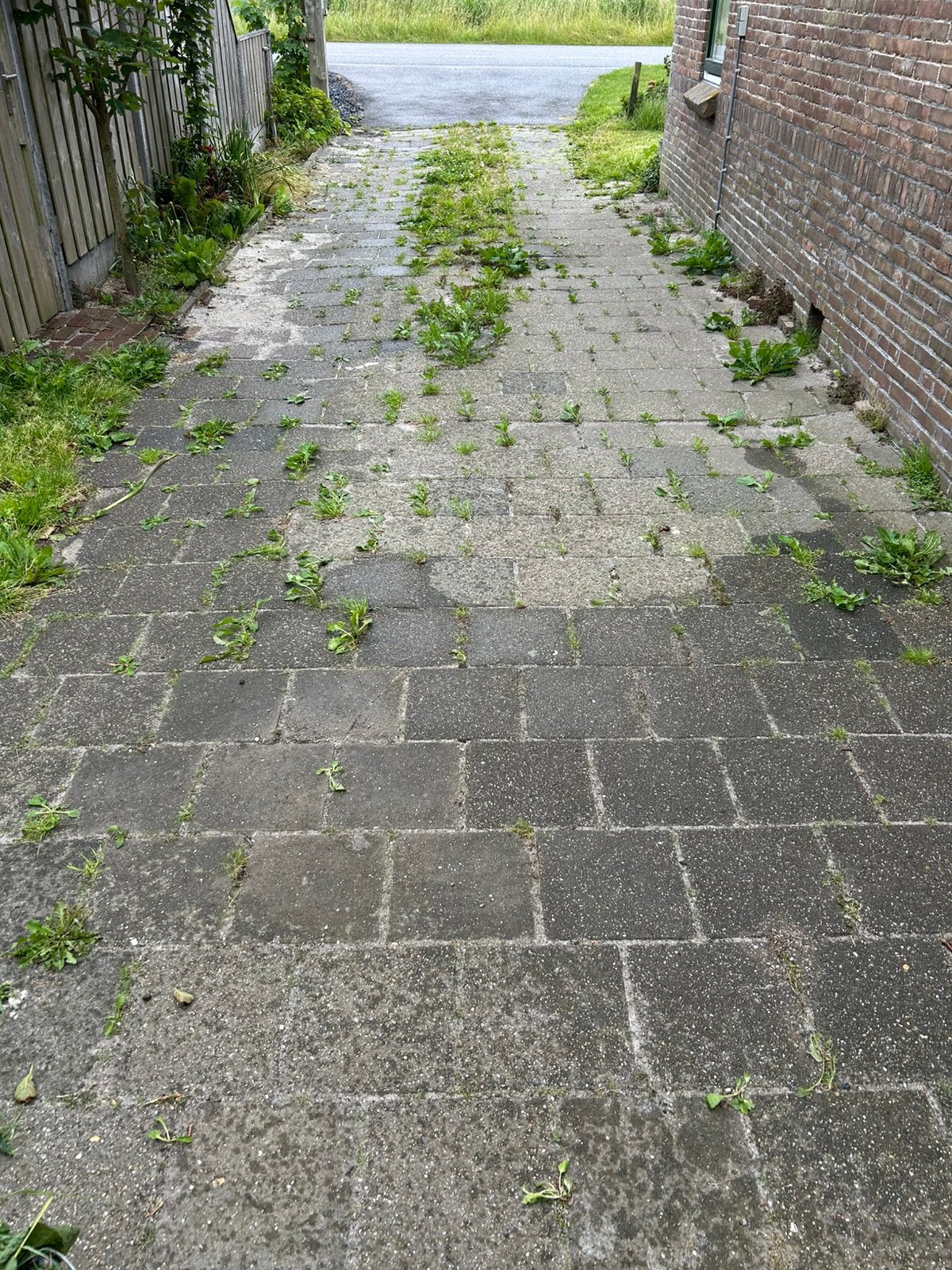 Stoeptegels 30x30 gratis, Ophalen, Gebruikt, Overige typen, 10 m² of meer