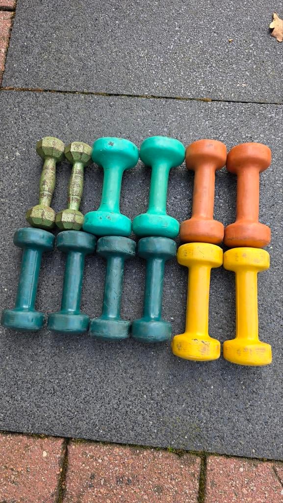 Set van 6 diverse dumbbells - ideaal voor thuisgym, Sport en Fitness, Fitnessmaterialen, Gebruikt, Onbekend, Ophalen of Verzenden