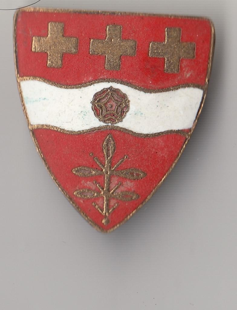 Scouting België broche, Verzamelen, Speldjes, Pins en Buttons, Gebruikt, Niet vindbaar, Niet vindbaar, Speldje of Pin