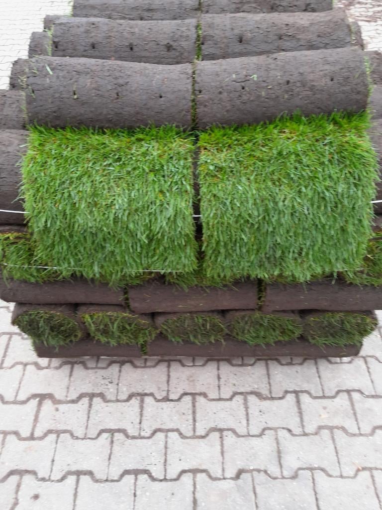Graszoden, Ophalen, Zo goed als nieuw, Gras