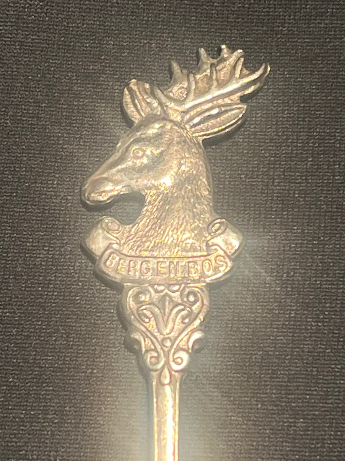 Vintage lepeltje Berg en Bos., Ophalen of Verzenden