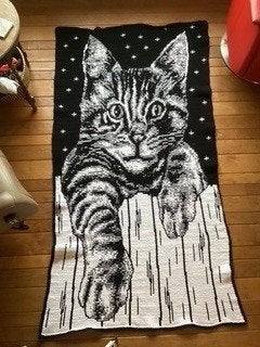kleed poes, Ophalen of Verzenden, Nieuw