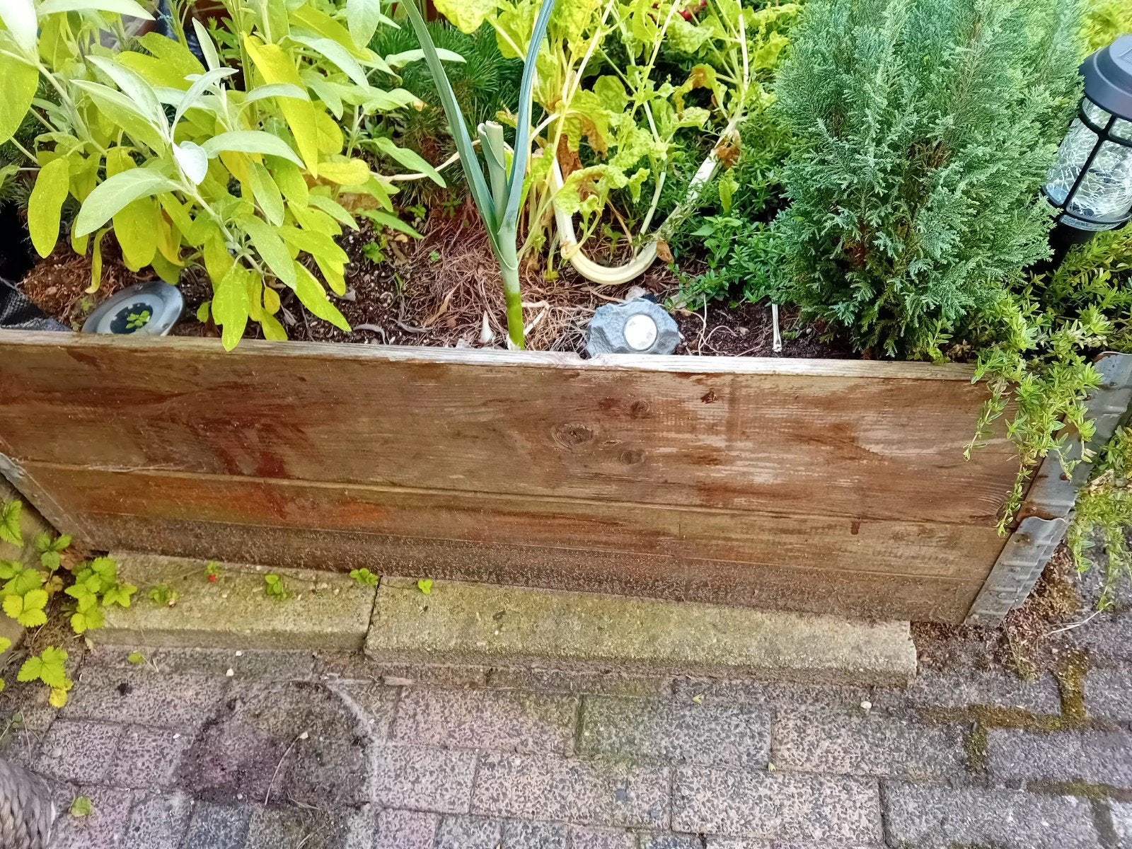 Moestuinbak DIY doe het zelf !, Ophalen, Rechthoekig, Hout, Minder dan 30 cm