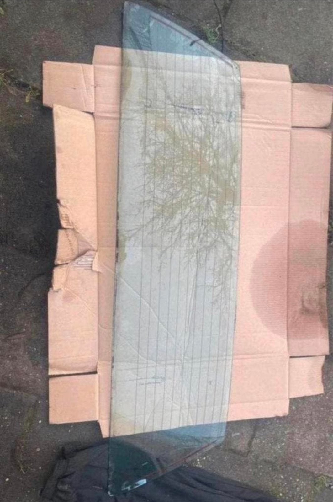 1978-88 Monte Carlo Cutlass Regal rear window glass, Ophalen, Amerikaanse onderdelen
