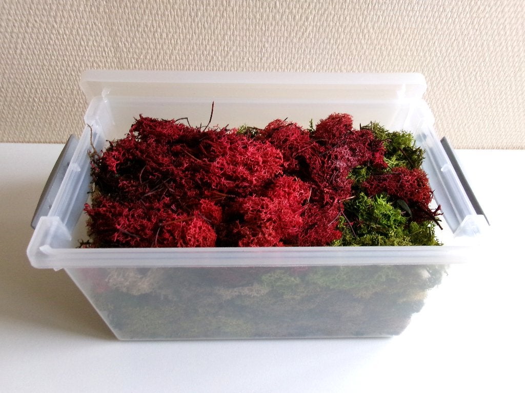 Decoratie Mos, Hobby en Vrije tijd, Overige merken, Wisselstroom, Gebruikt, Natuur