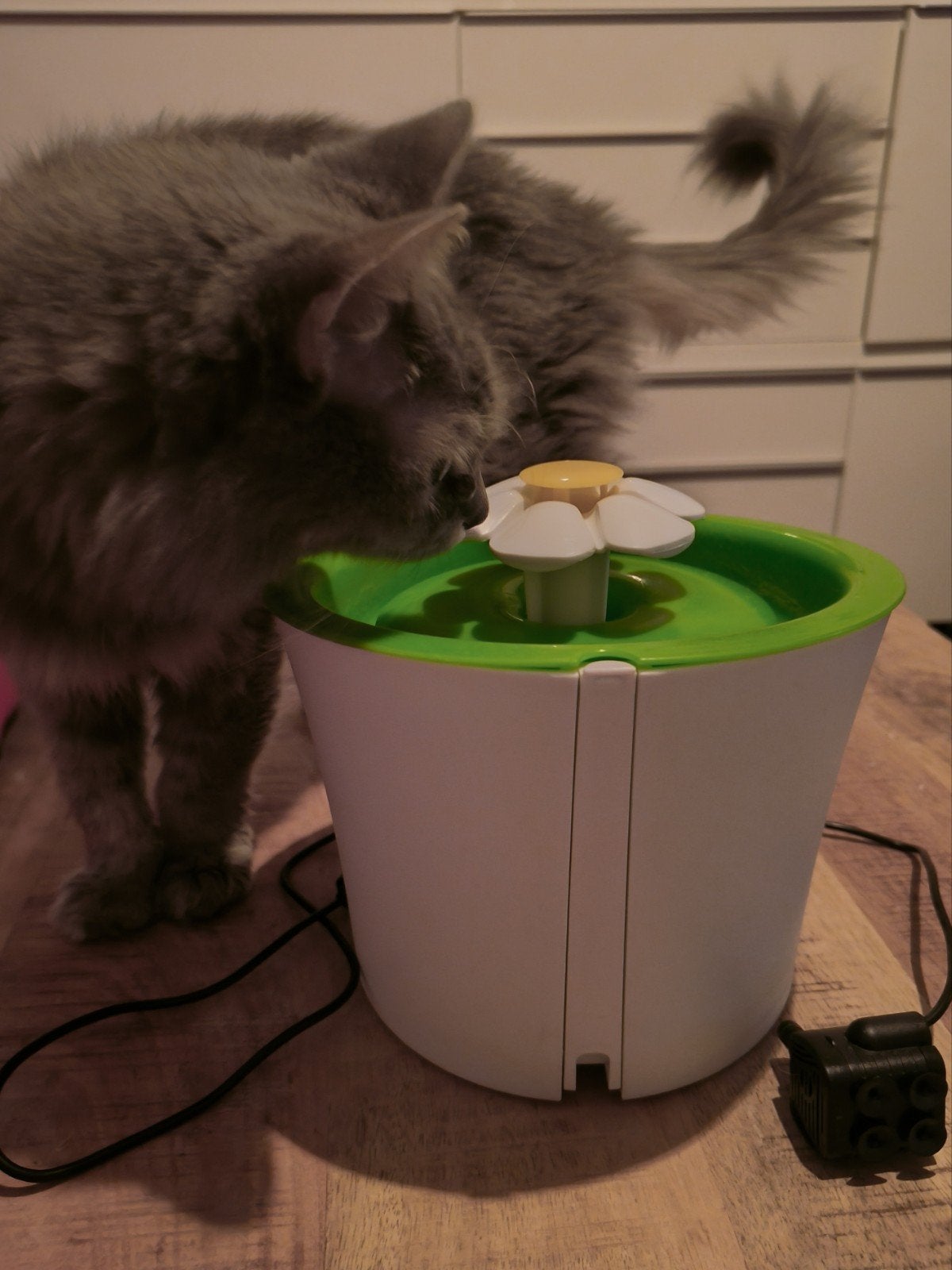 Catit drinkfontein 1,5 L, Dieren en Toebehoren, Kattenvoerbakken en Drinkbakken, Ophalen, Gebruikt
