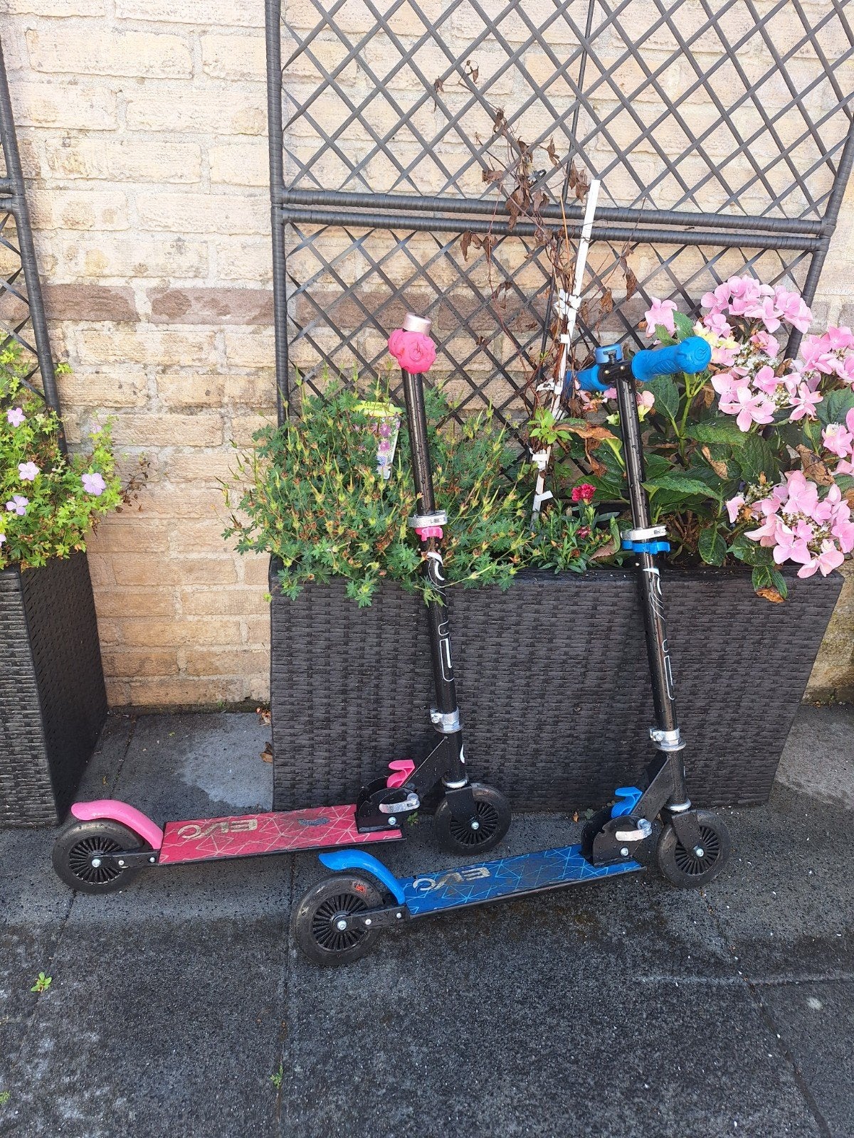 Evo stepjes roze en blauw, Ophalen, Gebruikt, Gewone step, EVO