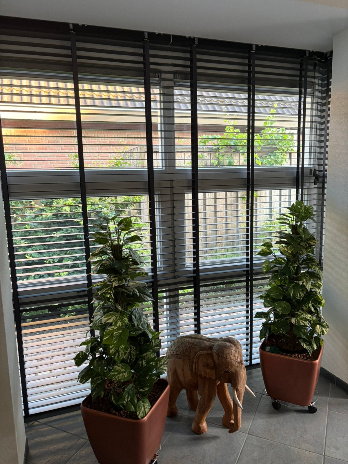 Veneta Houten donker grijze jaloezieën 116 x 232, Ophalen, 100 tot 150 cm, 200 cm of meer, Veneta Harmony clay