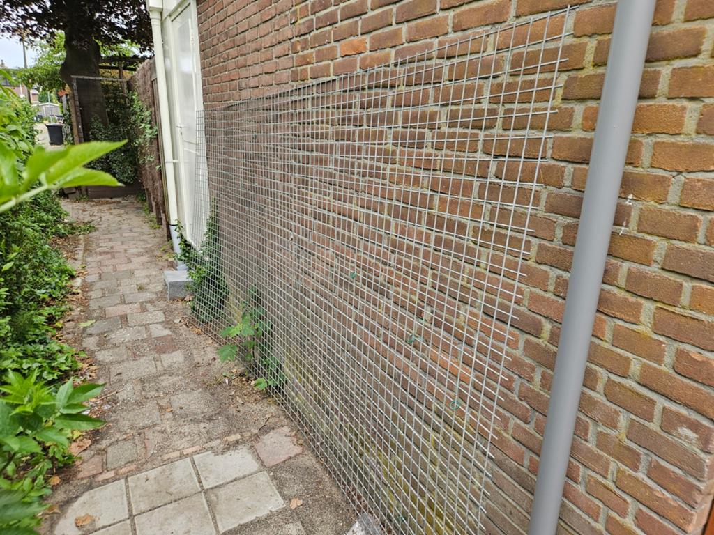 Gaaspaneel 175x350 cm, maaswijdte 5 cm, verzinkt, Ophalen, Minder dan 10 meter