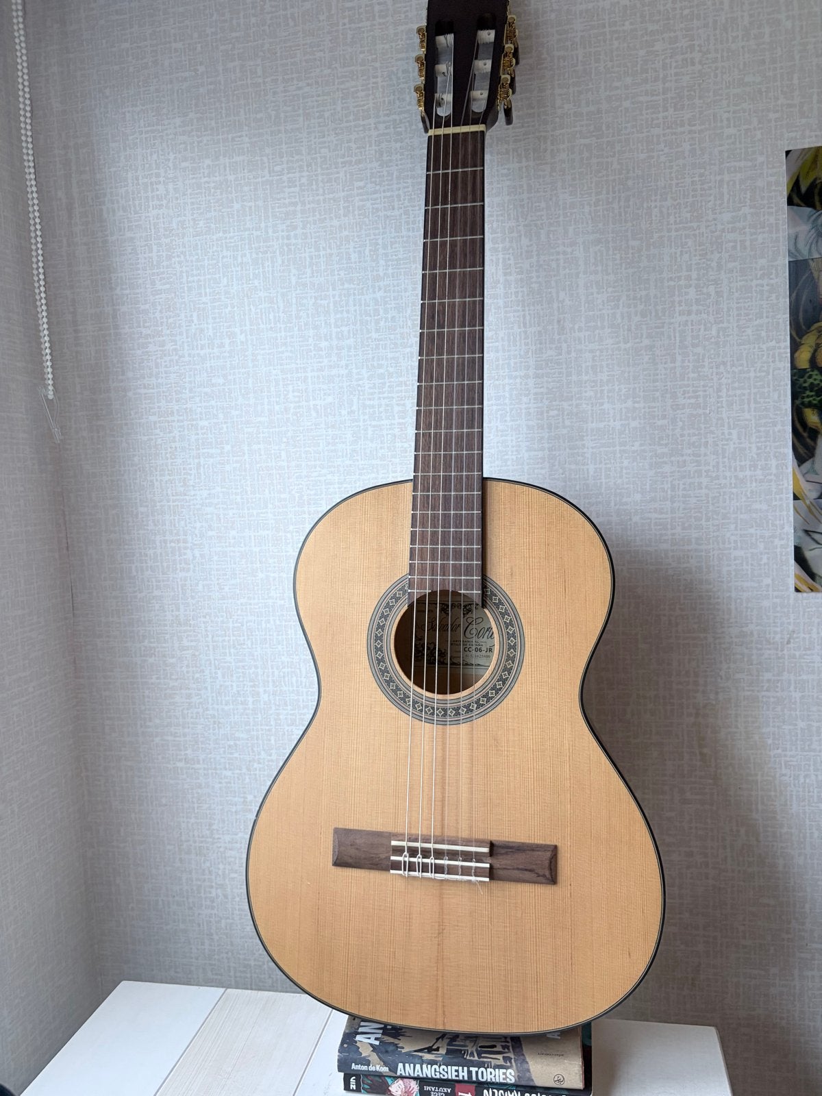 Salvador Cortez Klassieke Gitaar met Accessoires, Ophalen, Zo goed als nieuw, Klassieke of Spaanse gitaar