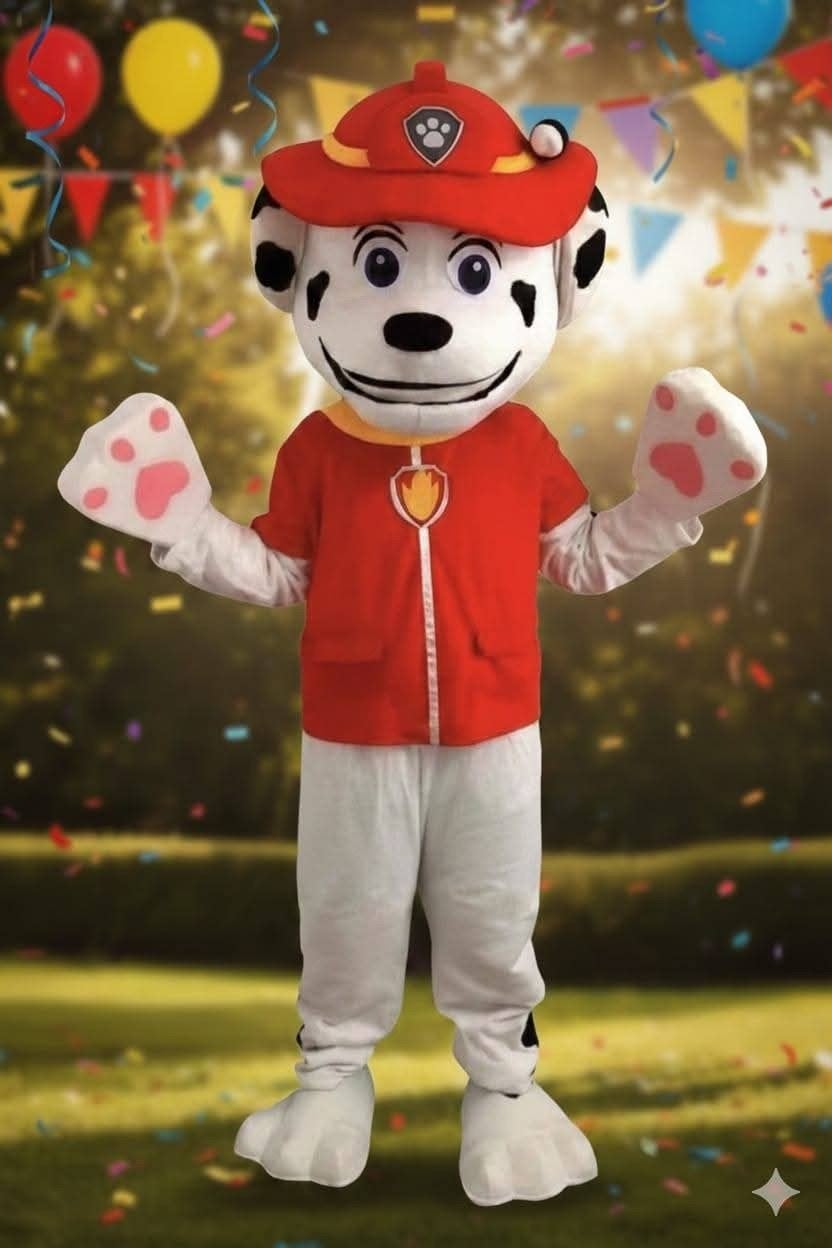 Paw Patrol Mascotte Te Huur, Ophalen, Zo goed als nieuw, Verjaardag