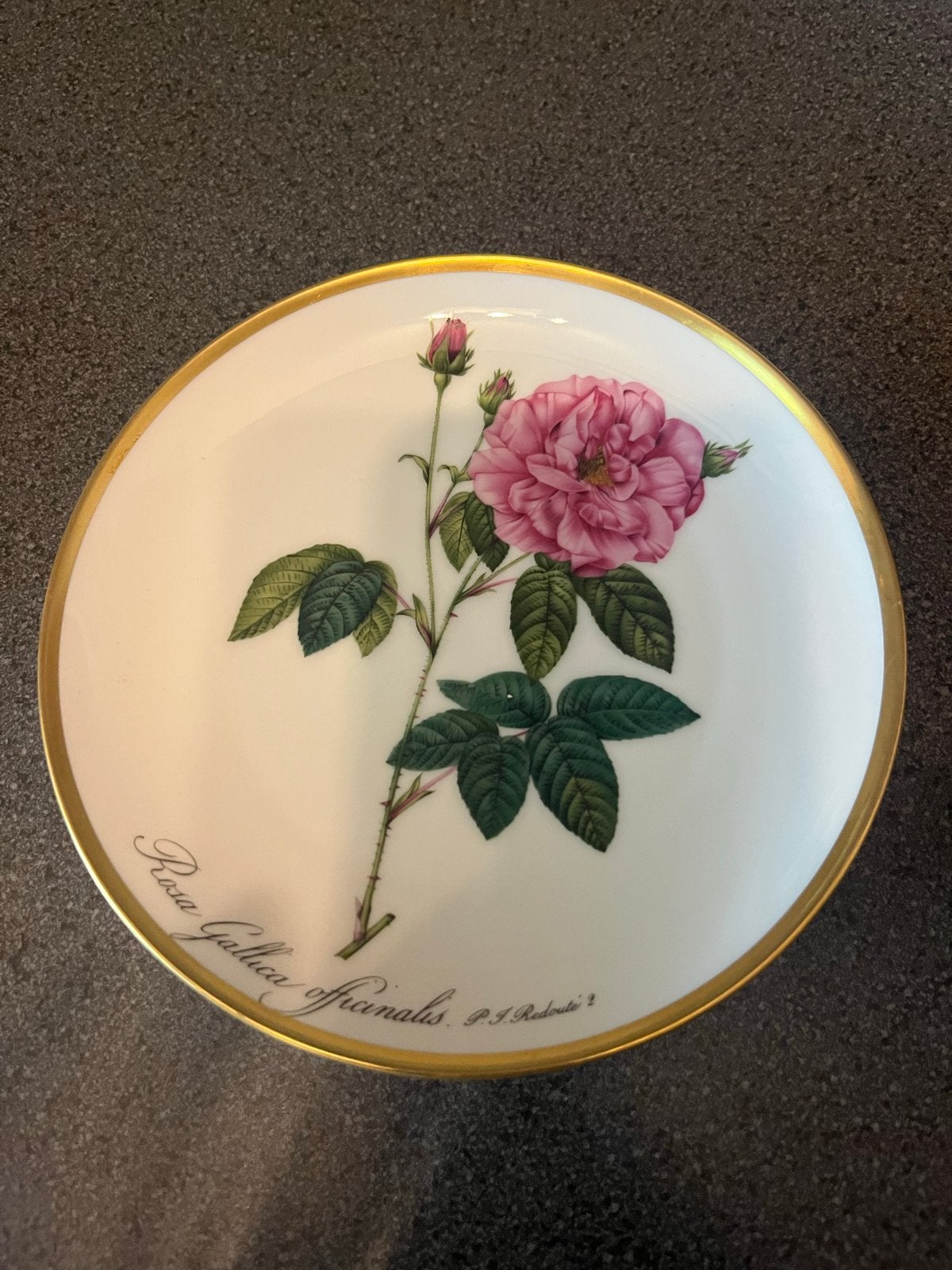 Hutschenreuther Porseleinen Wandbord - Rosa Gallica Officina, Ophalen of Verzenden