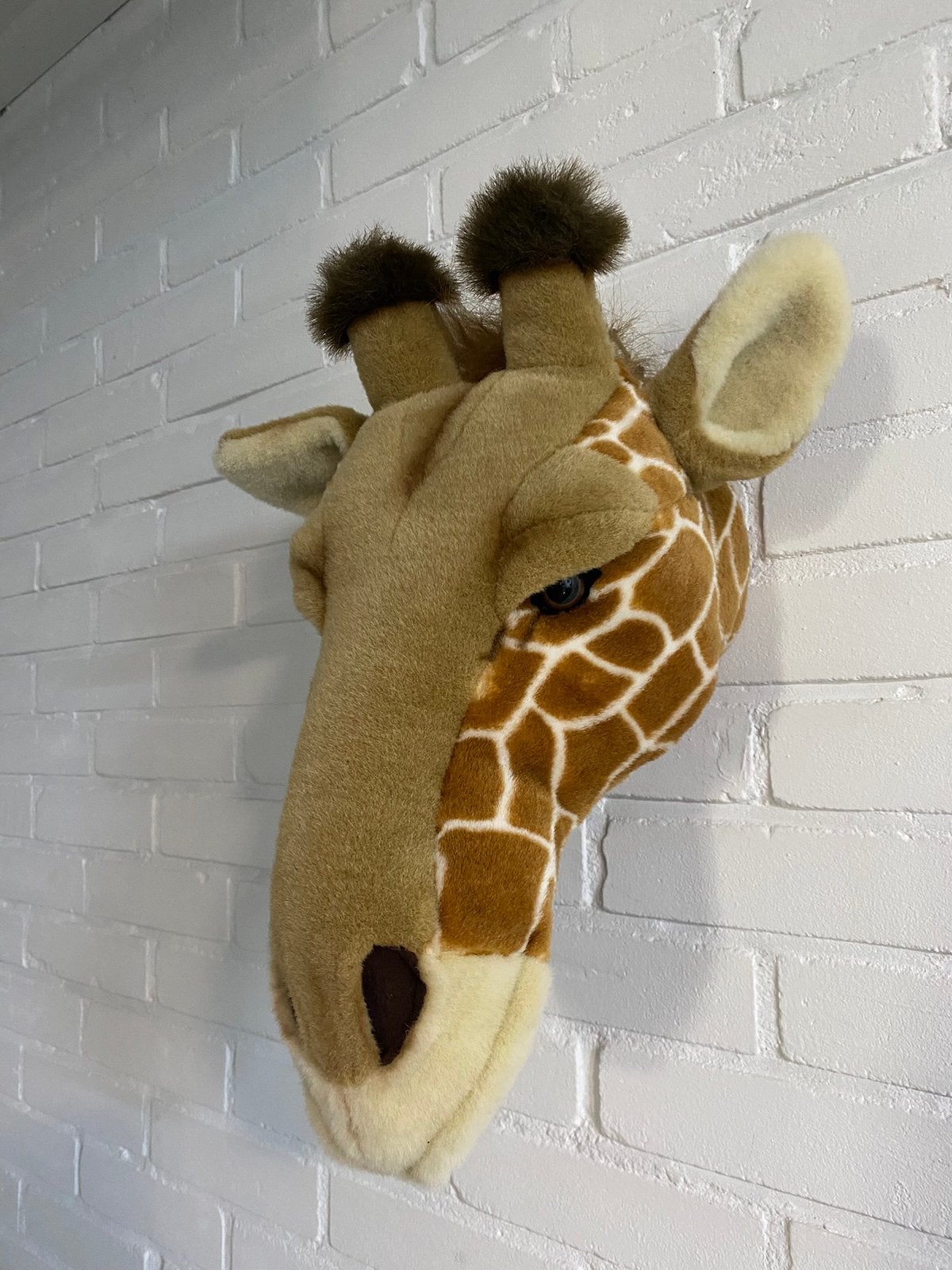 Giraffe kop, Ophalen of Verzenden, Zo goed als nieuw, Wanddecoratie