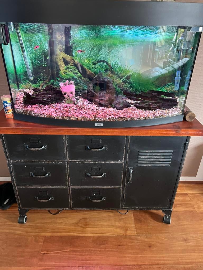 Aquarium met externe pomp en 4 vissen, Dieren en Toebehoren, Ophalen, Zo goed als nieuw, Gevuld zoetwateraquarium