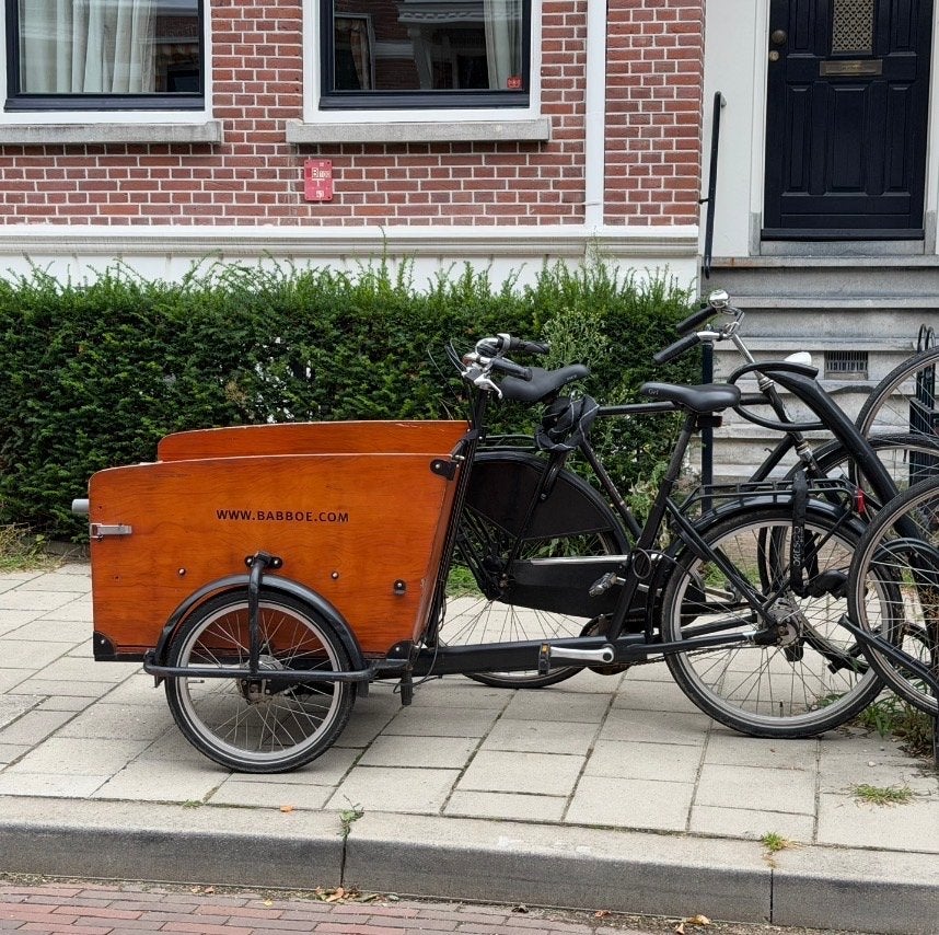 Babboe bakfiets - Ideaal voor kinderen, honden of goederen, Overige merken, Gebruikt, Ophalen of Verzenden, 2 kinderen