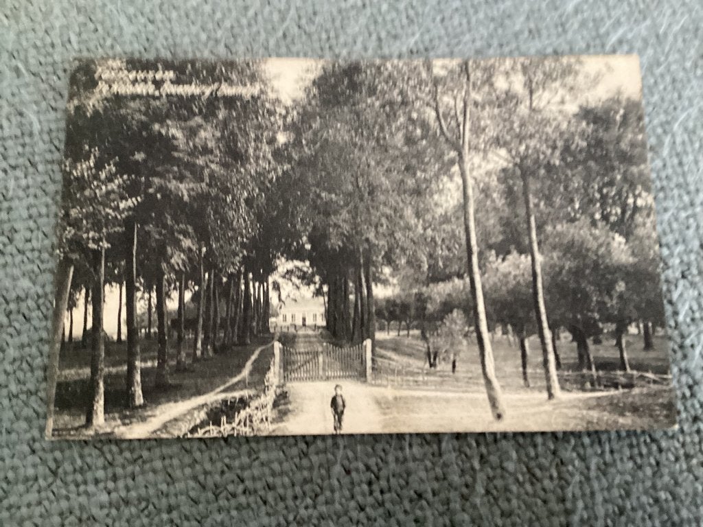 Terneuzen., Ophalen of Verzenden, Voor 1920, Gelopen, Zeeland