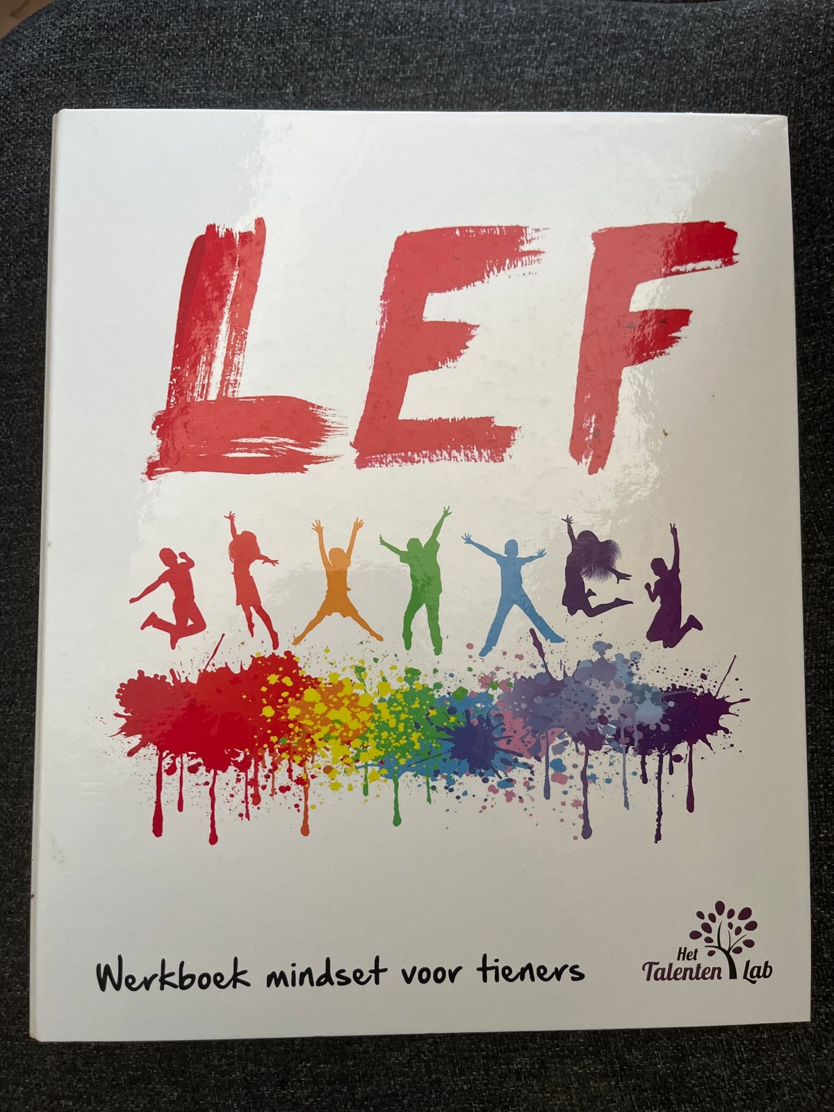 LEF: Werkboek mindset voor tieners - Het Talenten Lab, Ophalen of Verzenden, Zo goed als nieuw, Non-fictie