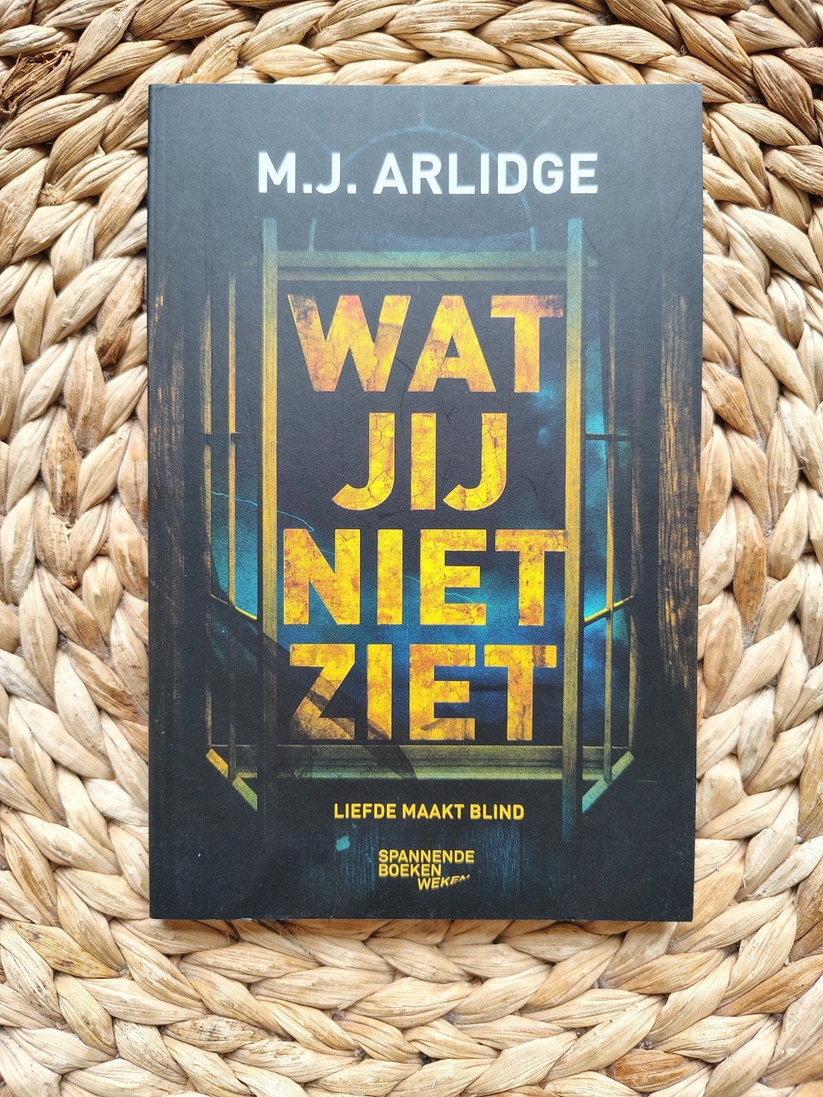 M.J. Arlidge - Wat jij niet ziet, Boeken, Ophalen of Verzenden, Zo goed als nieuw