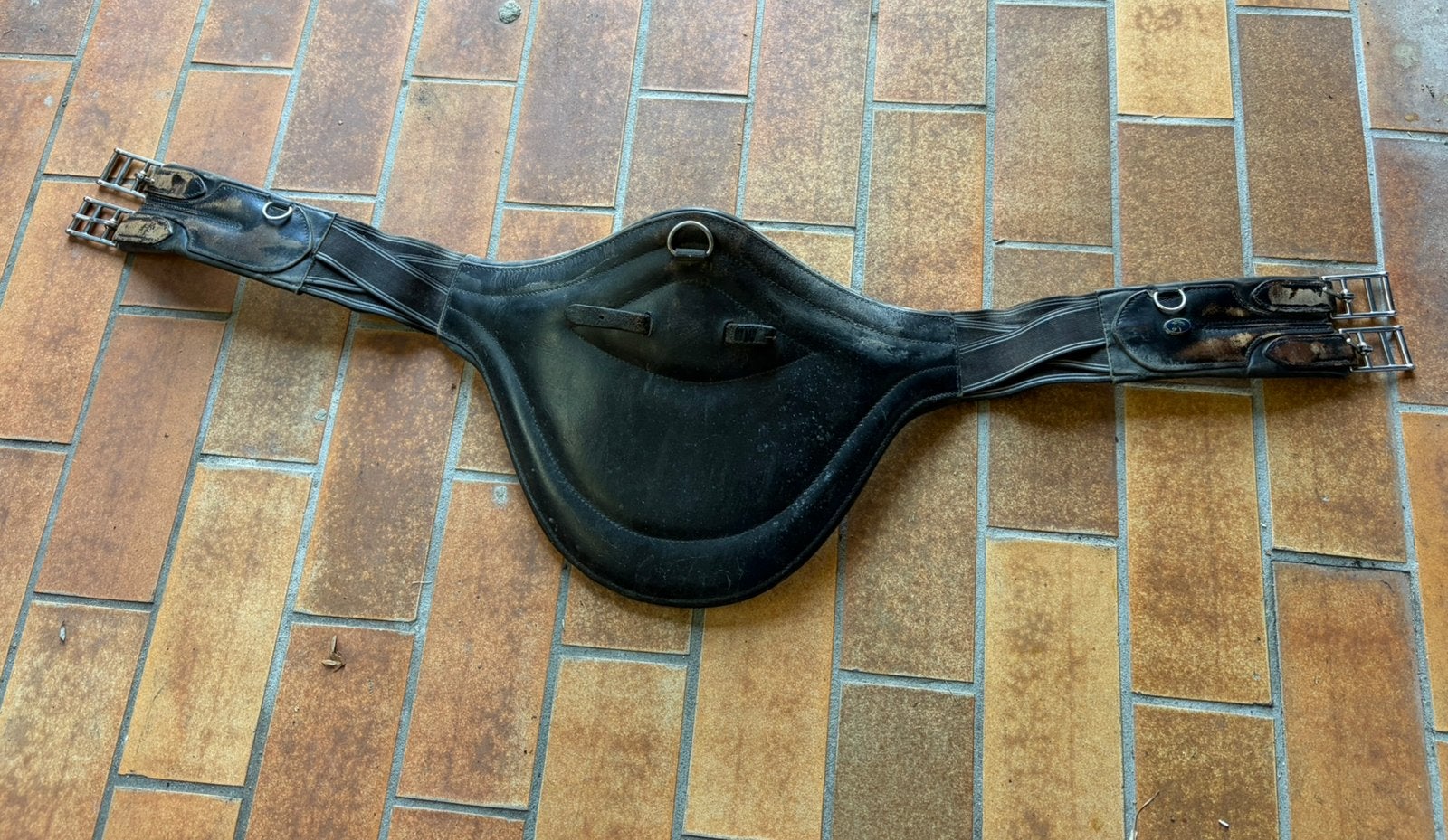Springsingel te koop, Dieren en Toebehoren, Springen, Ophalen of Verzenden, Singel, Zwart