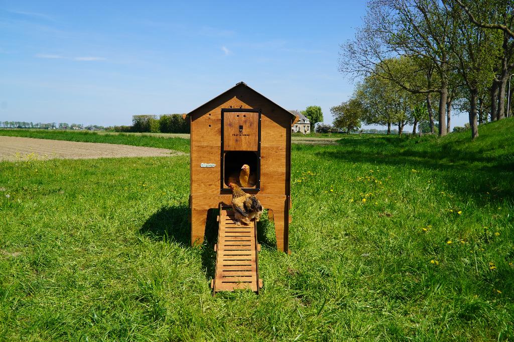 Trespa Kippenhok Cucciolotta Classic XL | Op Pootjes