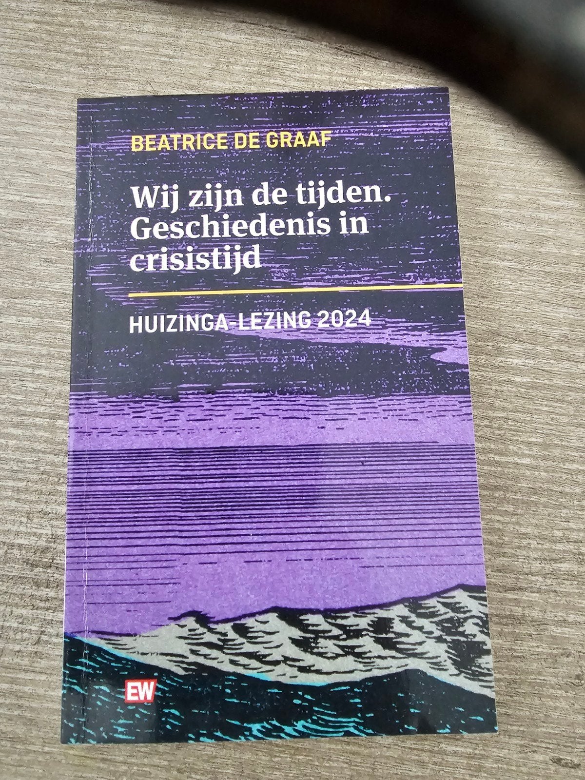Wij zijn de tijden. Geschiedenis in crisistijd Huizinga Lez, Boeken, Ophalen of Verzenden, Gelezen, Beatrice de Graaf