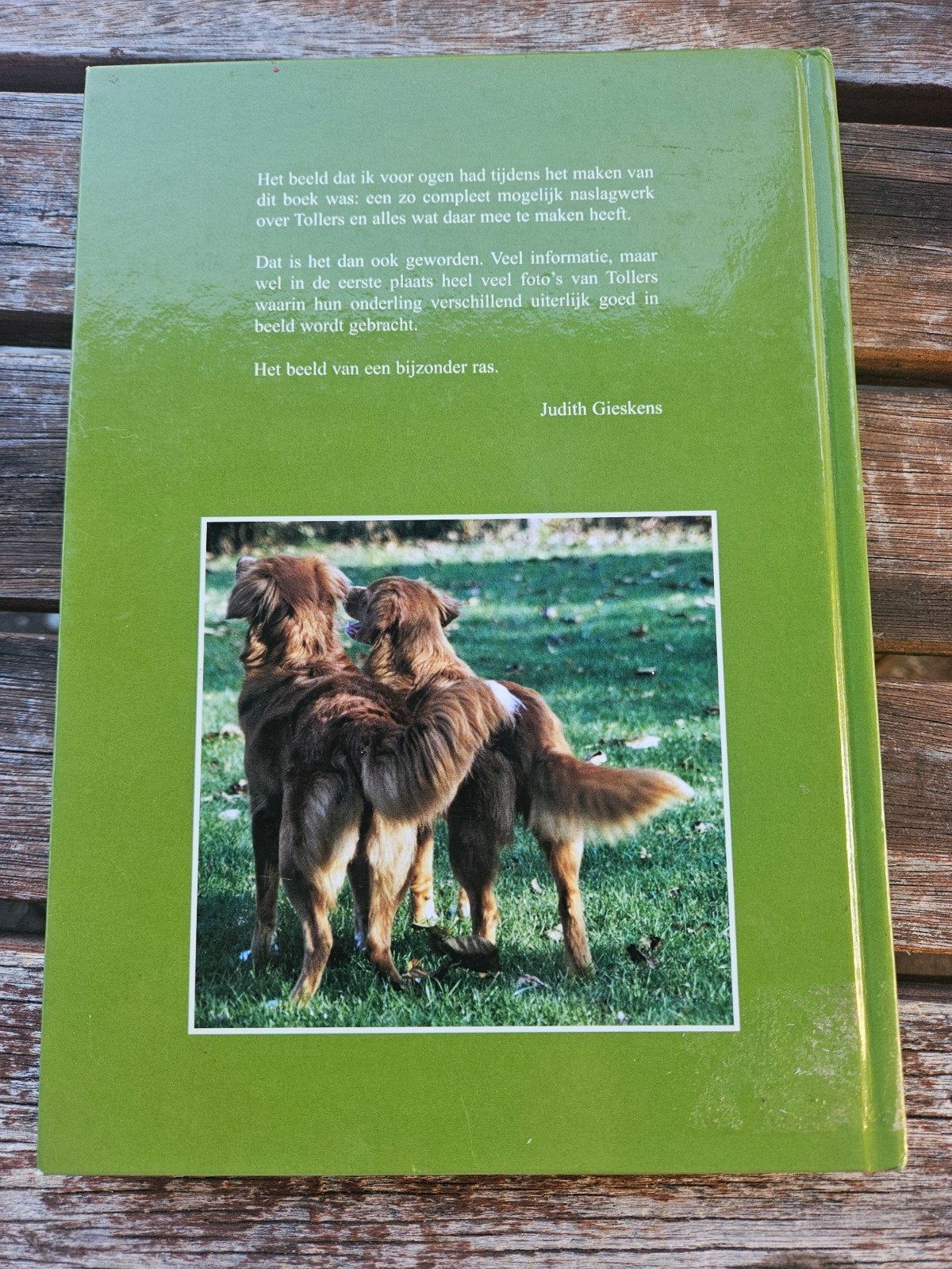 De Nova Scotia Duck Tolling Retriever - Boek, Ophalen of Verzenden, Gelezen, Honden, Judith Gieskens