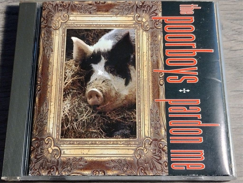 The Poorboys - Pardon Me [USA 1992], Ophalen of Verzenden, Zo goed als nieuw, Poprock