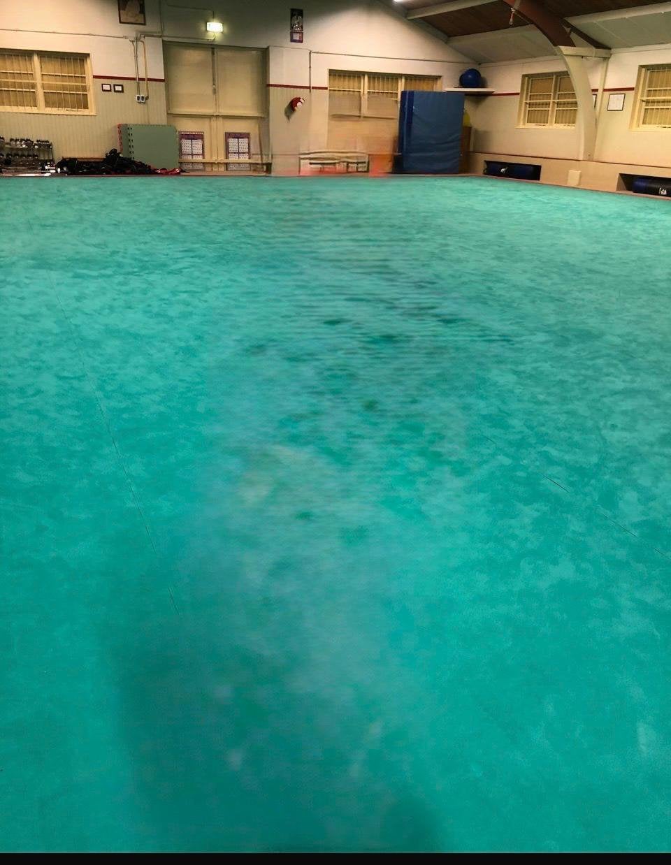 Afdek zeil voor over judo mat matten en dergelijke, Sport en Fitness, Vechtsporten en Zelfverdediging, Ophalen, Gebruikt, Judo mat