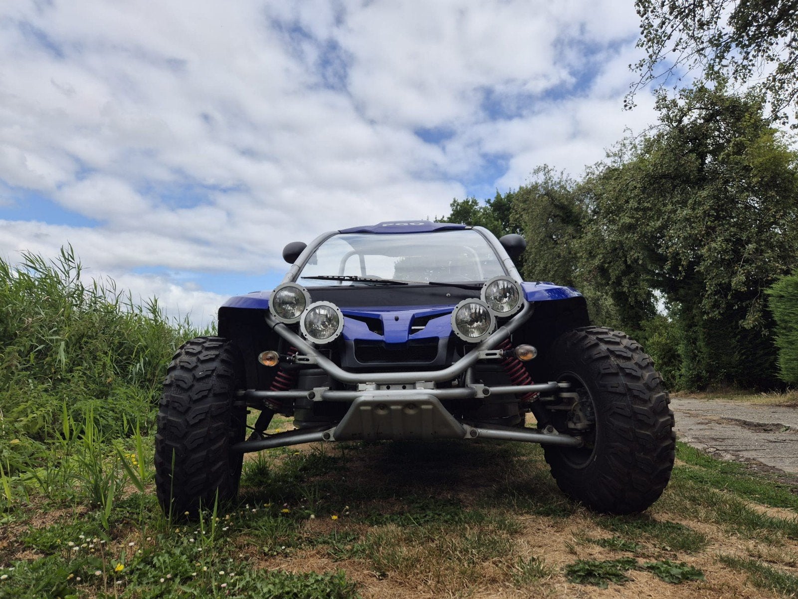 PGO Buggy 500i met NL kenteken, Motoren, 1 cilinder, 12 t/m 35 kW, 500 cc