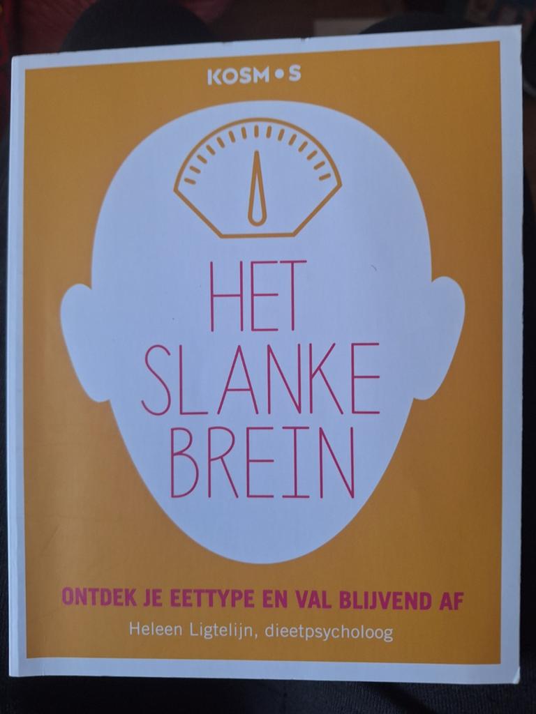 Het Slanke Brein Ligtelijn ZGAN, Ophalen of Verzenden, Zo goed als nieuw