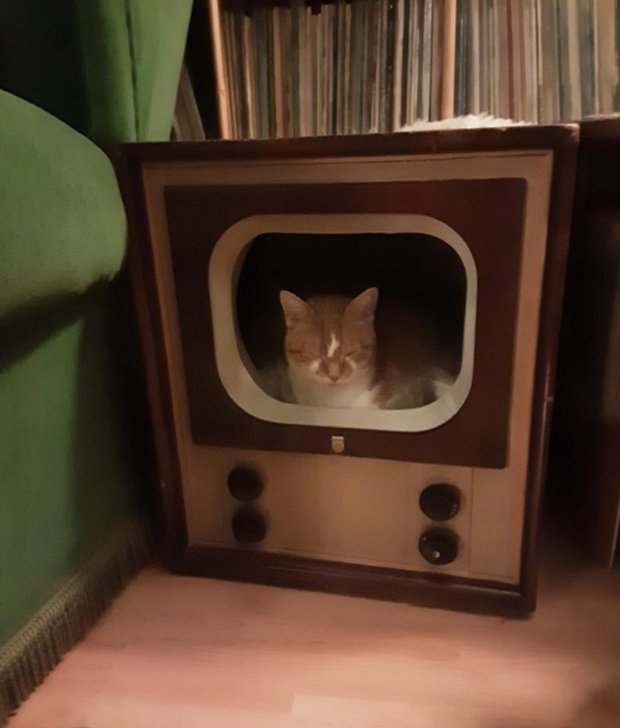 Unieke Vintage philips TV Kattenmand - Retro Design, Ophalen of Verzenden