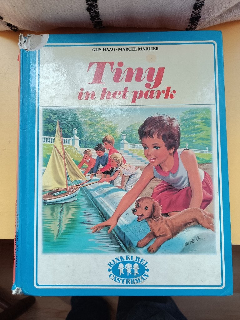Gijs Haag – Tiny, Ophalen of Verzenden, Gijs Haag, Fictie algemeen