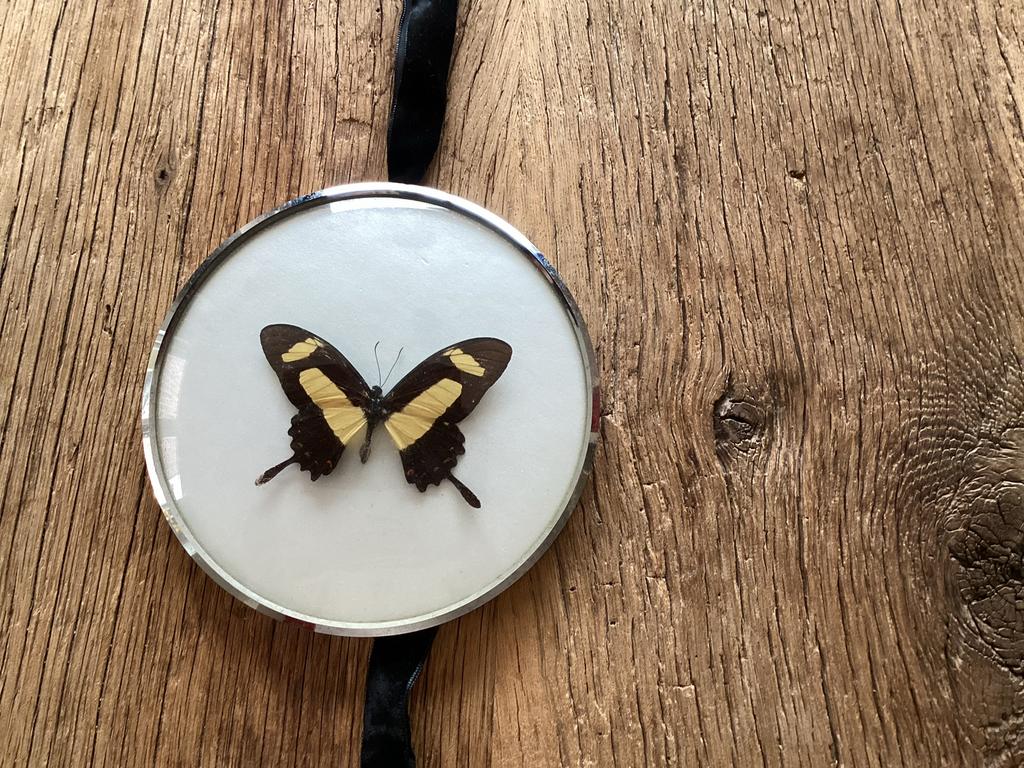 Mooie vlinder in zilverkleurige lijst - 15 cm doorsnee, Ophalen of Verzenden, Gebruikt, Insect, Opgezet dier