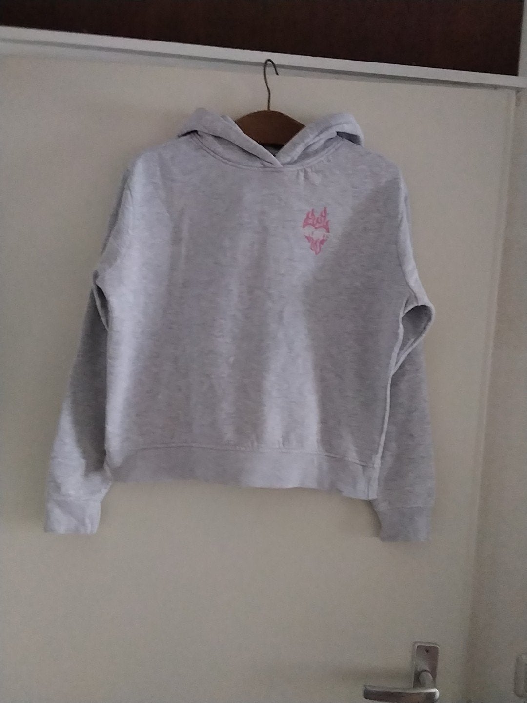AMY & IVY Hoodie Maat XS - Grijs met Roze Opdruk, AMY & IVY, Ophalen of Verzenden, Zo goed als nieuw, Maat 34 (XS) of kleiner