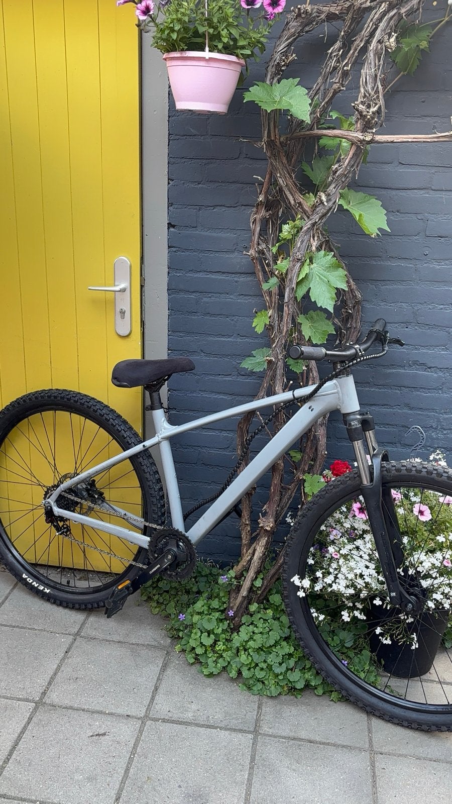 Wheelie bike, Kenda banden en 4-piston remmen, Overige merken, Minder dan 10 versnellingen, Gebruikt, Ophalen of Verzenden