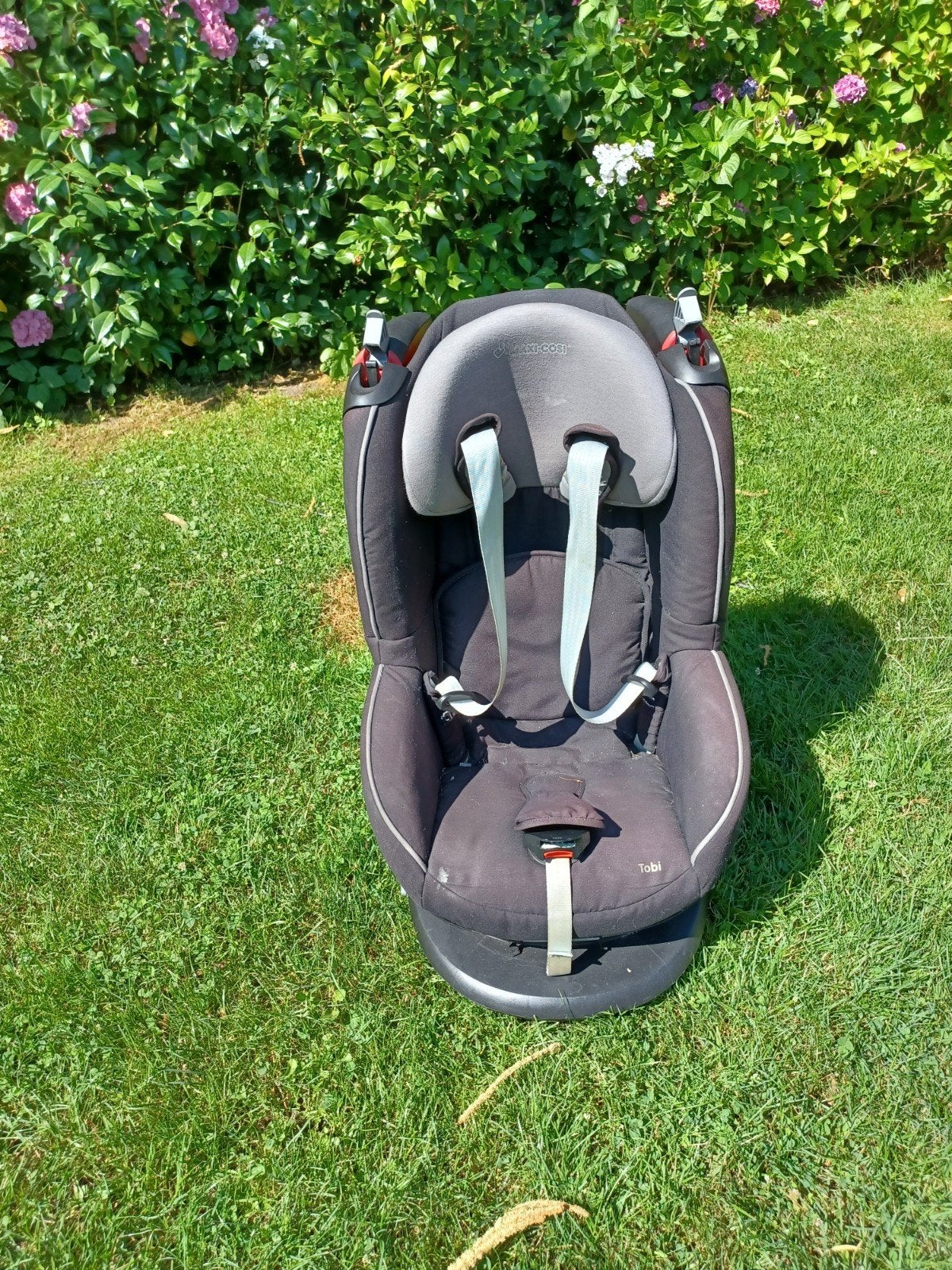 Maxi-Cosi Tobi autostoel - Zwart, Ophalen, 9 t/m 18 kg, Verstelbare rugleuning, Maxi-Cosi