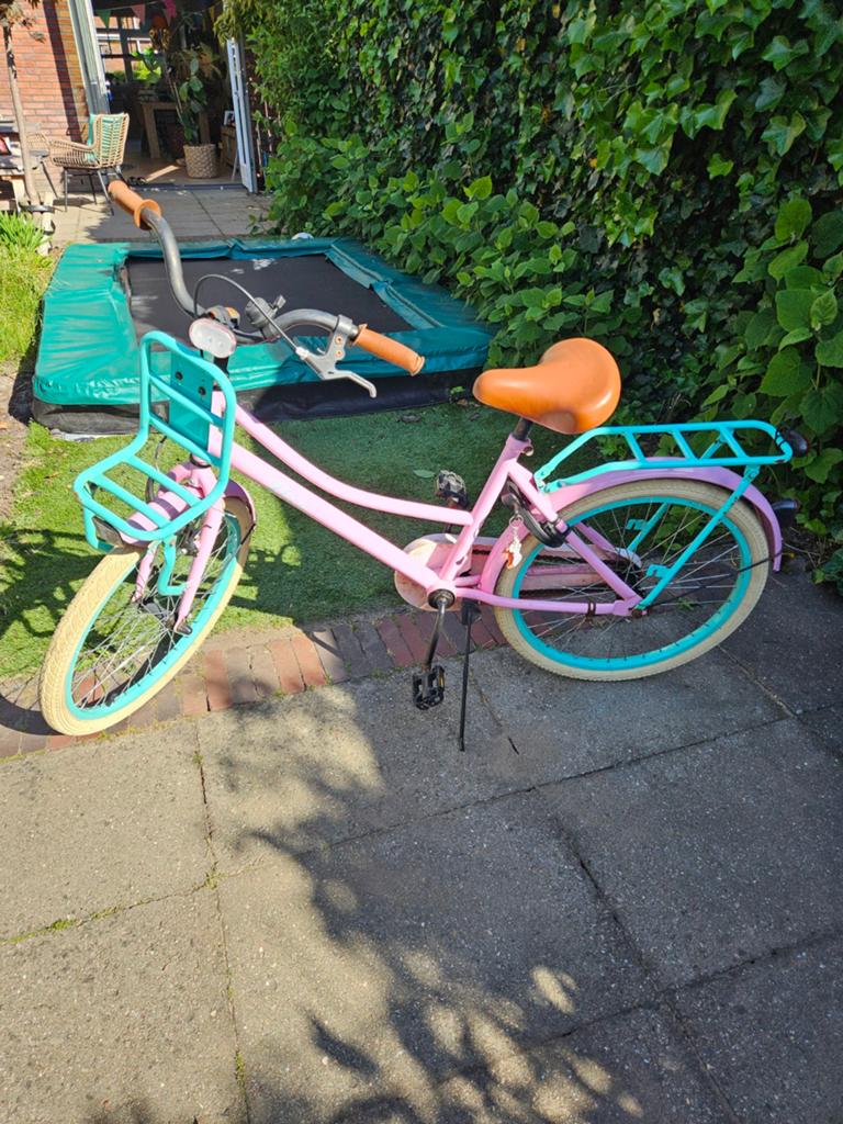 Meisjesfiets 22 inch, Ophalen of Verzenden, Gebruikt, 22 inch