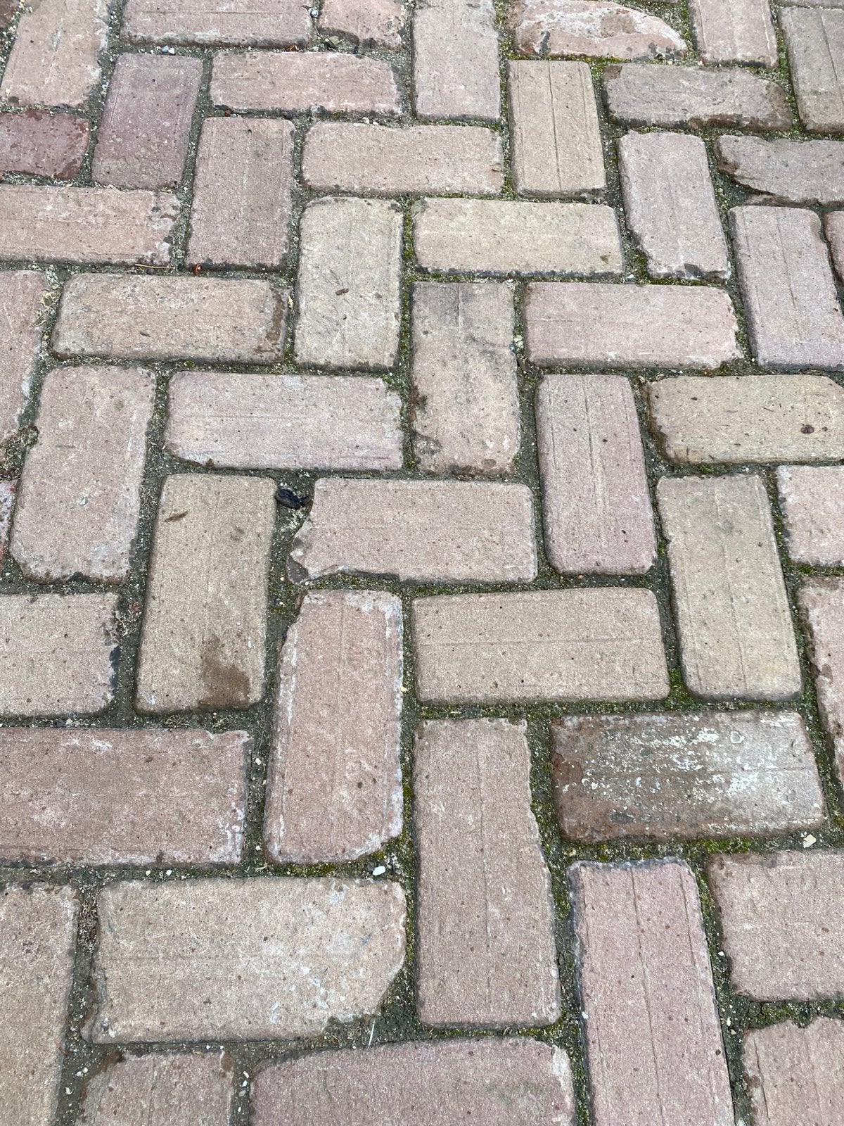 Oude klinkers, Tuin en Terras, Tegels en Klinkers, Ophalen, Klinkers, Zo goed als nieuw, 10 m² of meer
