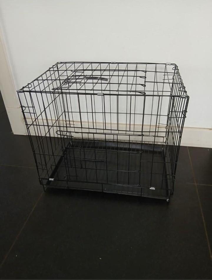 Nieuw
Huisdieren bench.
504232 cm., Ophalen of Verzenden, Nieuw