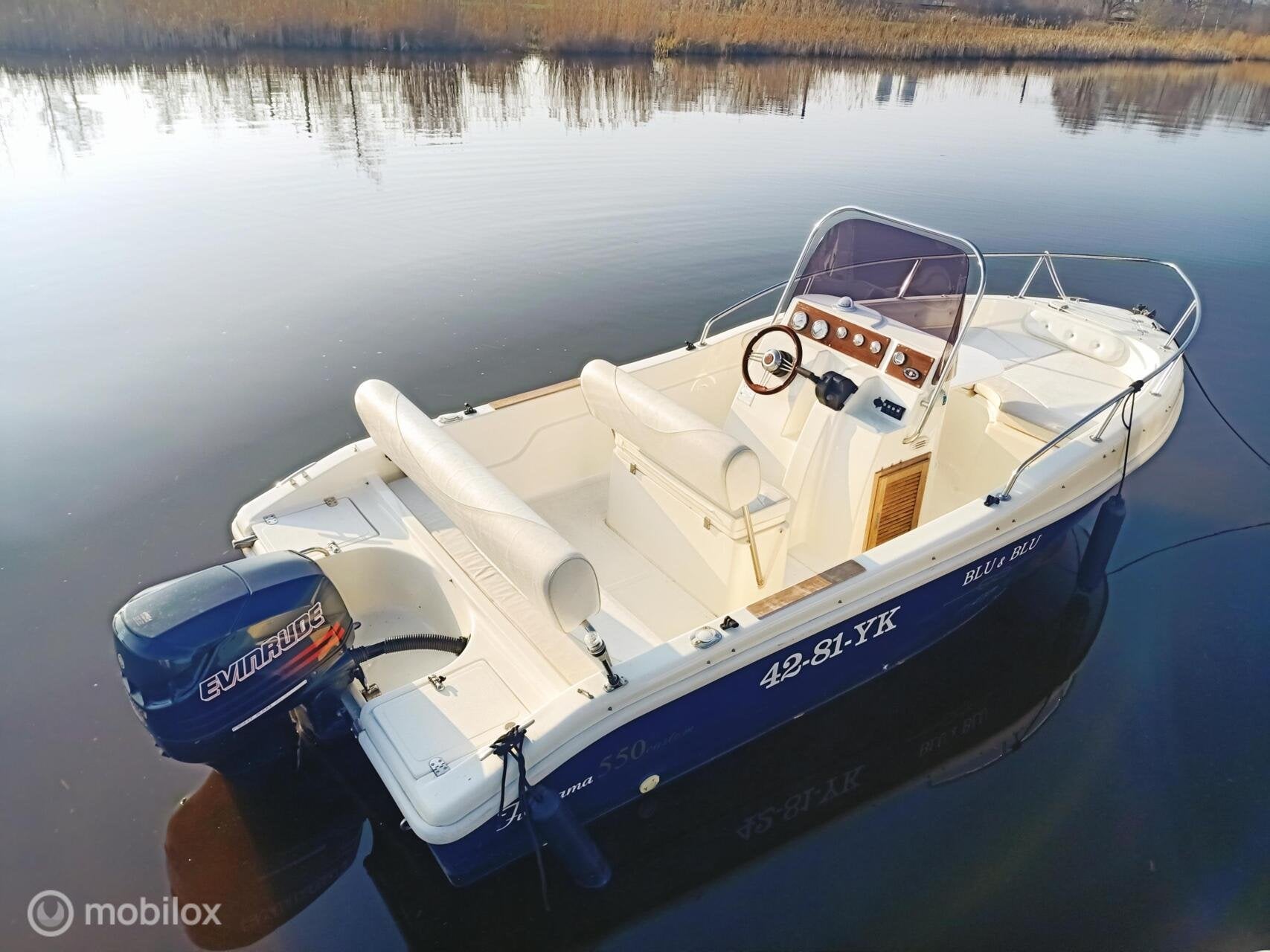 Rascala Futurama 550 custom Evinrude 115 pk Pega Boottrailer, 70 pk of meer, Gebruikt, Rascala Futurama 550 custom, Rascala Futurama 550 custom