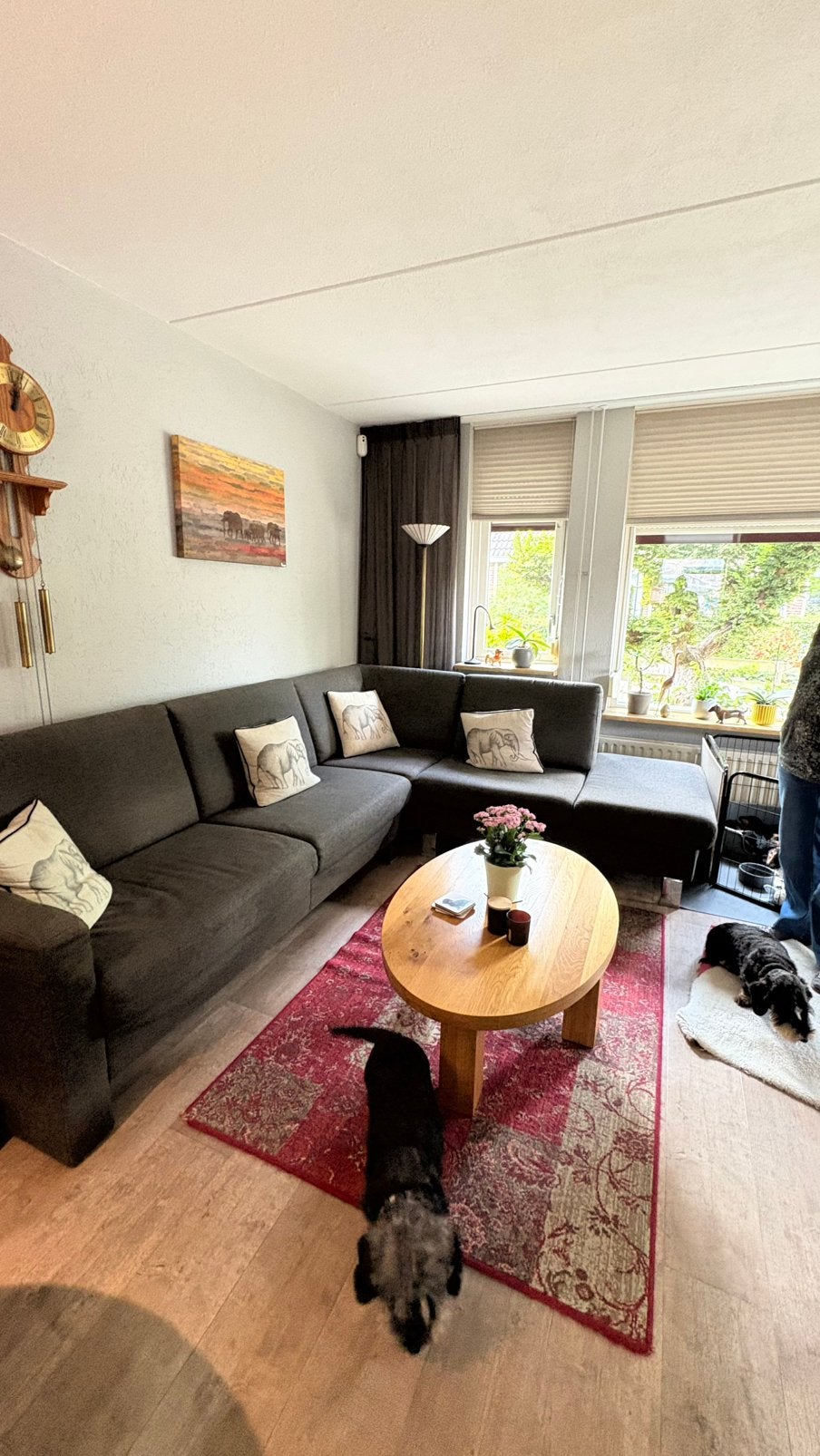 Design hoekbank